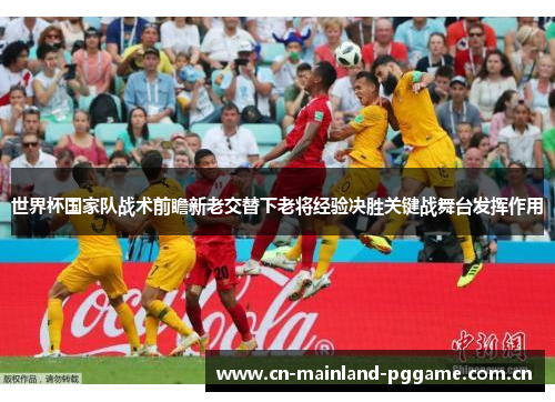 世界杯国家队战术前瞻新老交替下老将经验决胜关键战舞台发挥作用 世界杯国家队战术前瞻新老交替下老将经验决胜关键战舞台发挥作用